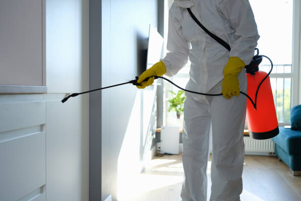 Best Same-Day Mold Removal  in Governors Clu, NC