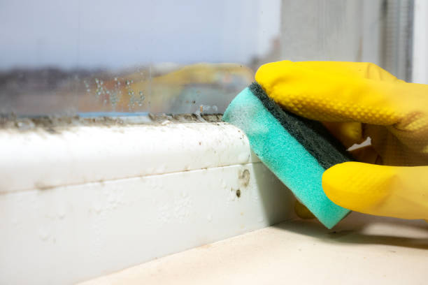 Best Office Mold Removal Services  in Governors Clu, NC