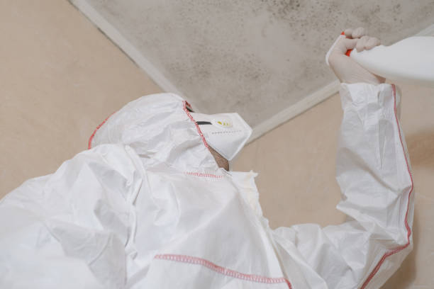 Best Residential Mold Removal  in Governors Clu, NC